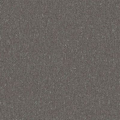 Nyluxe Petguard SPIDERWEB Grey Wall 1681-84198