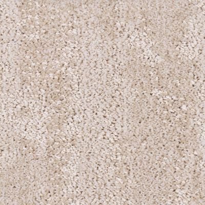 Tryesse Pro SOUVENIR FROM CANADA Beige Clay 1744-19018