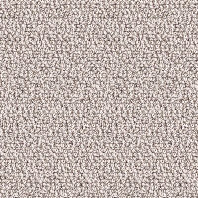 Nyluxe Petguard TWILL Clear Ochre Brown 5211-18659