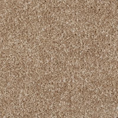 Tryesse SPARTACUS PAMPA BEIGE A4531-16320