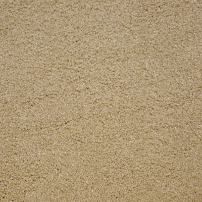 Nyluxe Petguard BICHON Tender Taupe A4681-14729