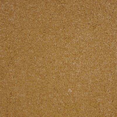 Nyluxe Petguard BICHON Maple Wood A4681-17060