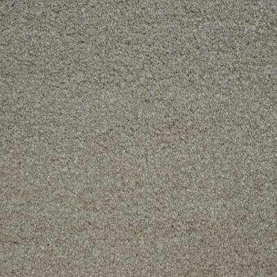 Nyluxe Petguard BICHON London Beige A4681-17061