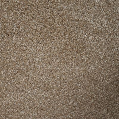 Nyluxe Petguard BICHON Light Chocolate A4681-17608