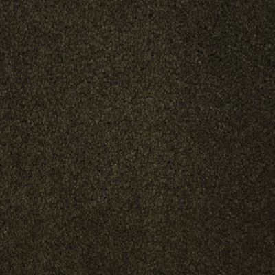 Nyluxe Petguard BICHON Dark Mineral Grey A4681-84221