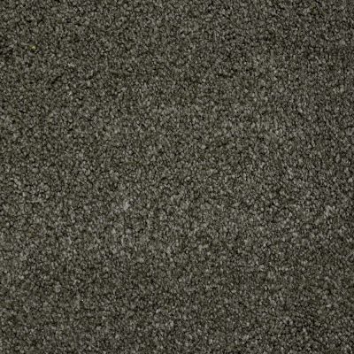 Nyluxe Petguard BICHON Benedictine Grey A4681-86840