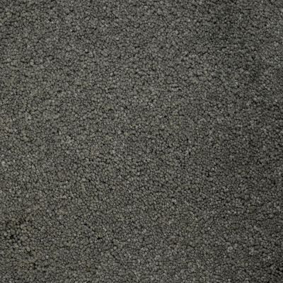 Nyluxe Petguard BICHON Metallic Grey A4681-89056