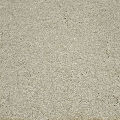 Nyluxe Petguard COLLIE Soft Cameo A4683-17185