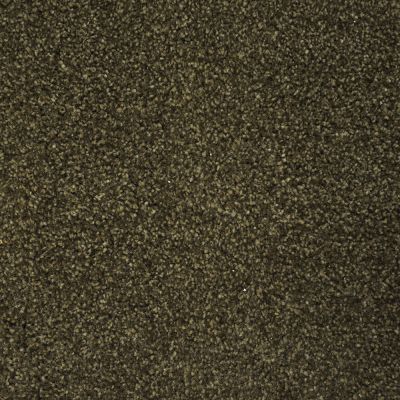 Nyluxe Petguard COLLIE Smoky Brown A4683-77917