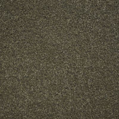Nyluxe Petguard COLLIE North American Grey A4683-89832