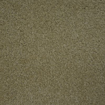 Nyluxe Petguard TERRIER Bistre Grey A4685-74299