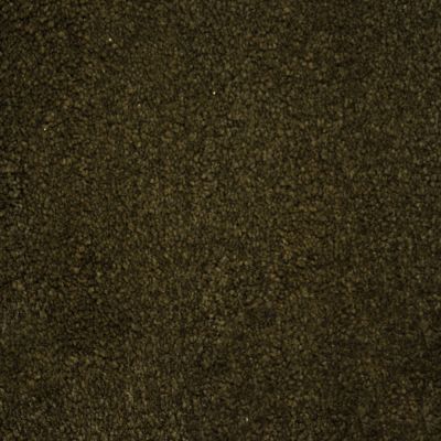 Nyluxe Petguard TERRIER Taboo Brown A4685-76833
