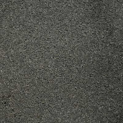 Beaulieu Terrier Metallic Grey A4685-89056