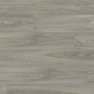 Beaulieu Atomic Xtra Chromium Xtra 8031