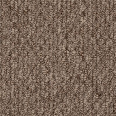 Beaulieu Cupido II Bistre Brown 6436-BISTRE