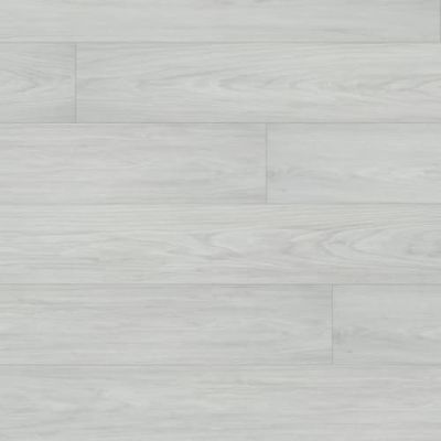 Beaulieu Atomic Xtra Francium Xtra 8032
