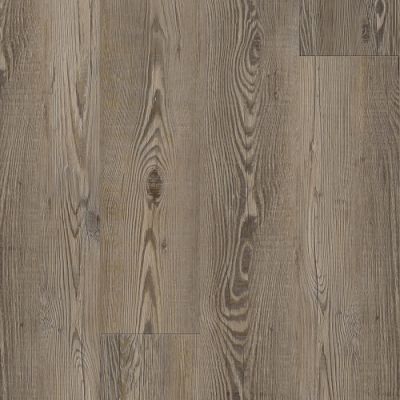 Pro With Mute Step Cali  Long Shore Pine 7904500700