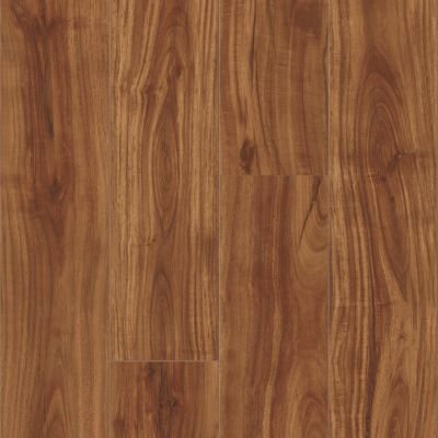 Cali Windansea Classic Acacia 7904511400