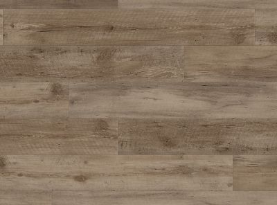 COREtec Plus Enhanced Planks Nares Oak VV012-00756