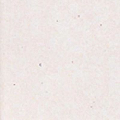 Daltile Semigloss Mayan White (1) 0400