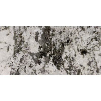Daltile Granite  Natural Stone Slab Adonis White G453SLAB3/41L