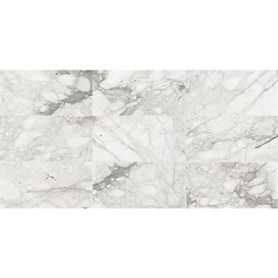 Daltile Marble Collection Field Tile Venetian Calacatta 12×12 Polished M474-1212POL
