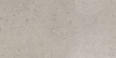 Daltile Dignitary Superior Taupe DGNTRY_DR08_12X24_RL