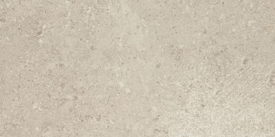 Daltile Dignitary Notable Beige DGNTRY_DR09_12X24_RL