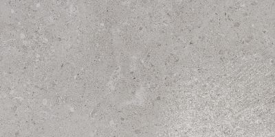 Daltile Dignitary Eminance Grey DGNTRY_DR10_12X24_RT