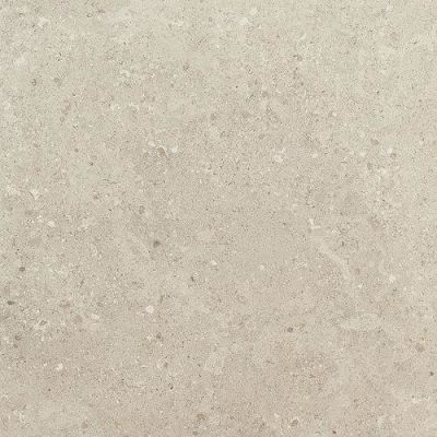Daltile Dignitary Field Tile Notable Beige 12×24 DR0912241L