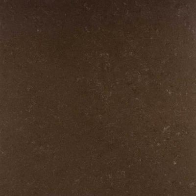 Daltile Unity Coffee P4041224S1L