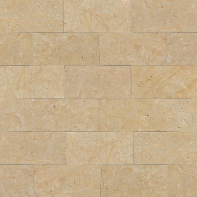 Daltile Marble Collection Champagne Gold (Polished and Honed) M760361U