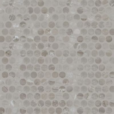 Daltile Famed Fortune Penny Rounds FM14PENNY