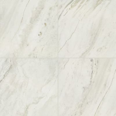 Daltile Famed Iconic 12×24 FM111224