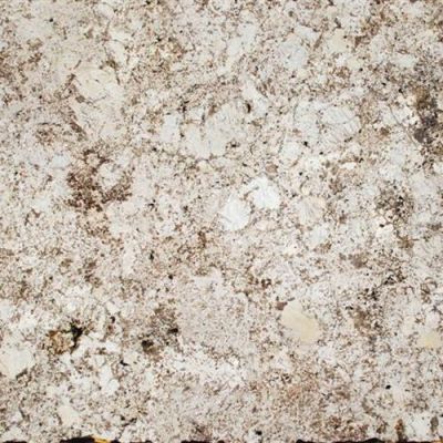Daltile Natural Stone Slab – Granite Delicatos White G593