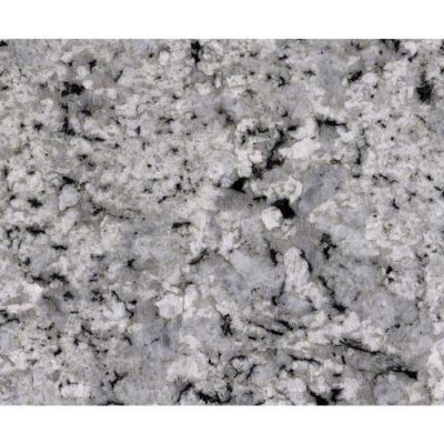 Daltile Natural Stone Slab – Granite Palladium White G841