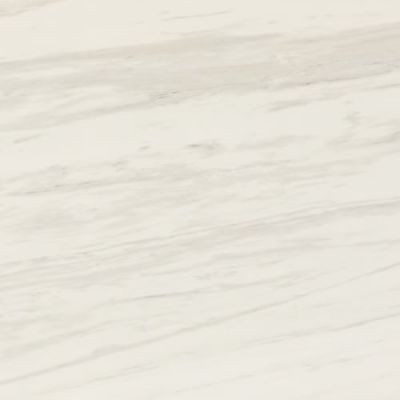 Daltile Perpetuo Timeless White 12×24 PT201224