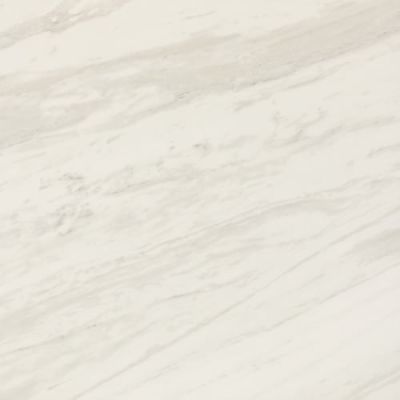Daltile Perpetuo Timeless White 24×24 PT202424