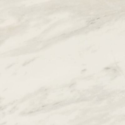 Daltile Perpetuo Field Tile Timeless White 24×24 Polished PT20-2424-P