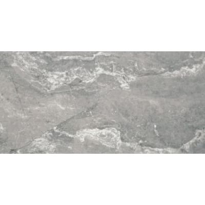 Daltile Perpetuo Field Tile Eternal Grey 12×24 Polished PT23-1224-P