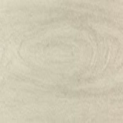 Daltile Proseries – Pines Terrace – 20 Mil Birch PT84