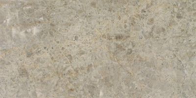 Daltile Natural Quartzite – Natural Stone Slab Savoie Q019SLVARIAPL2