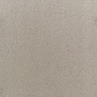 Daltile Quarry Textures Ashen Gray QRRYTXTRS_0T03_6X6_SM