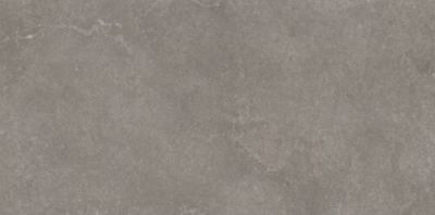 Dal Tile Rhetoric Composition Grey IS-RT08