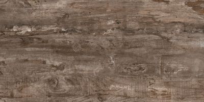 Daltile Season Wood Atumn Wood SSNWD_SW03_24X48_RM