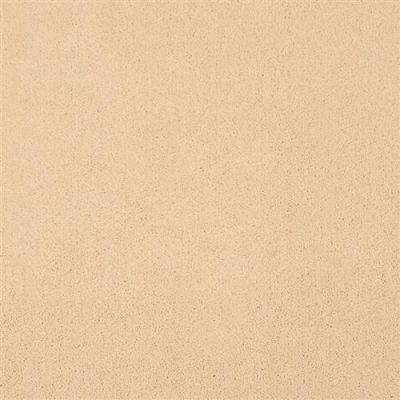 Fabrica Dolce Melon Tint 207DL-DL27