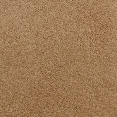 Fabrica Accolade Buckeye 209AC-AC13