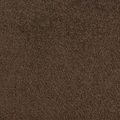 Fabrica Accolade Fossil 209AC-AC18