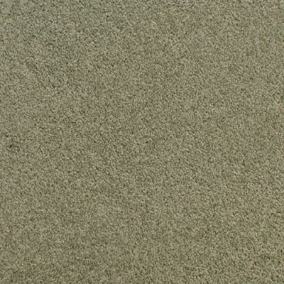 Fabrica Accolade Fir 209AC-AC51