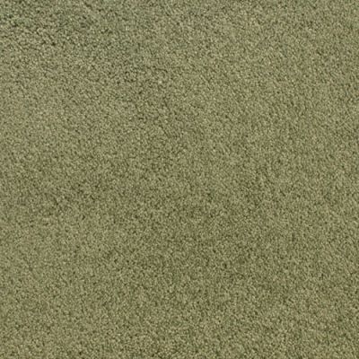 Fabrica Accolade Rain Forest 209AC-AC53